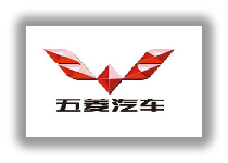 五菱柳机